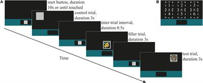 Toward a Standardized Test of Fearful Temperament in Primates: A Sensitive Alternative to the Human Intruder Task for Laboratory-Housed Rhesus Macaques (Macaca mulatta)